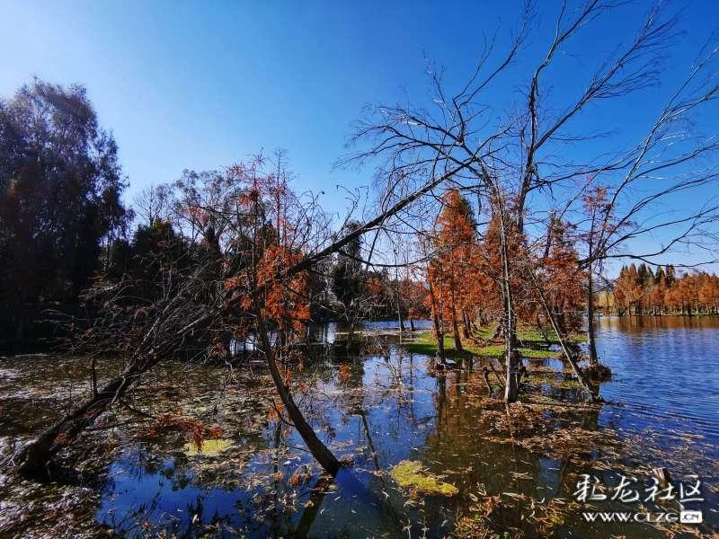 全明星街球派对龙争虎斗版本来袭，易建联派对直播首秀惊喜不断